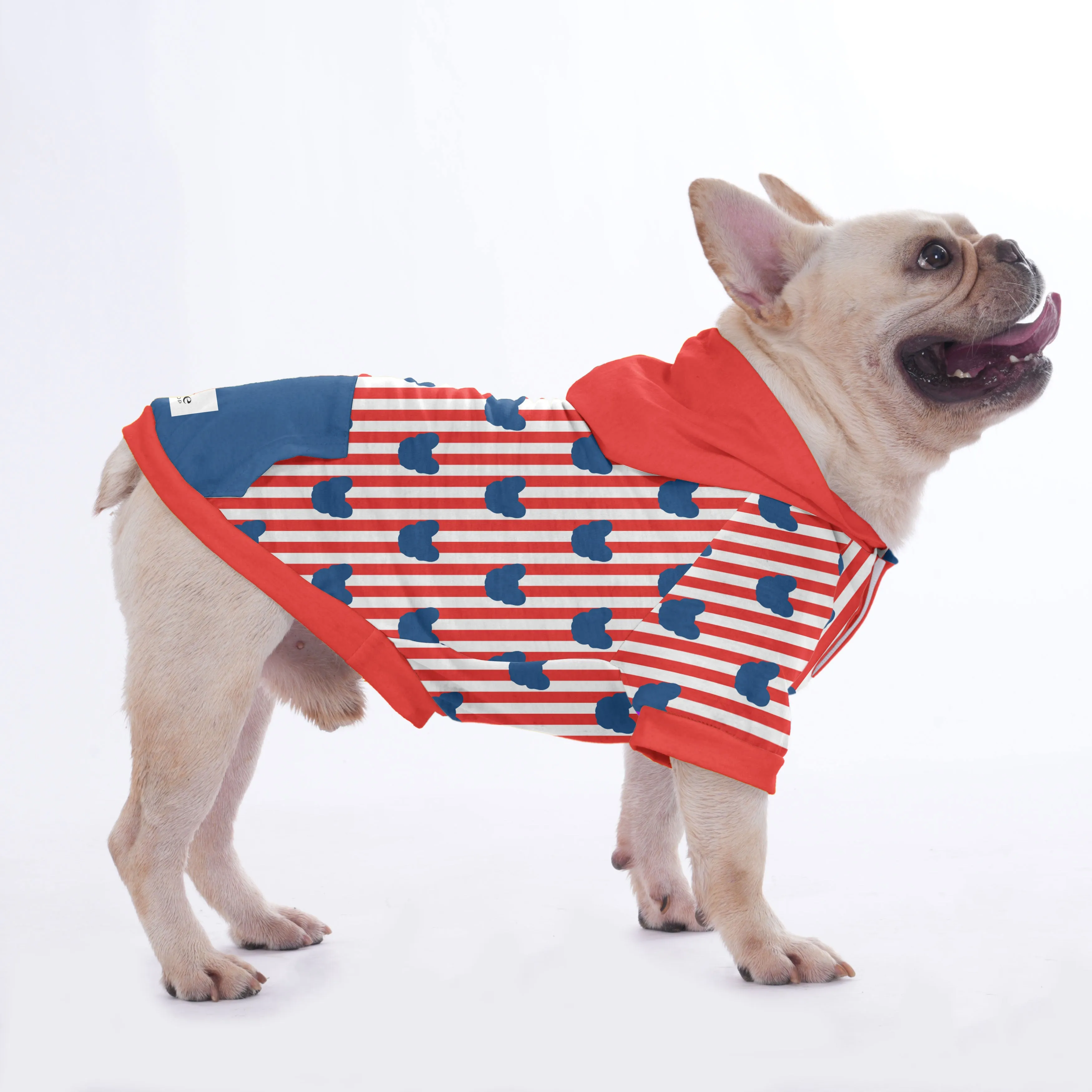 Poof - Hoodies for French Bulldog  | Frenchie Shop Original