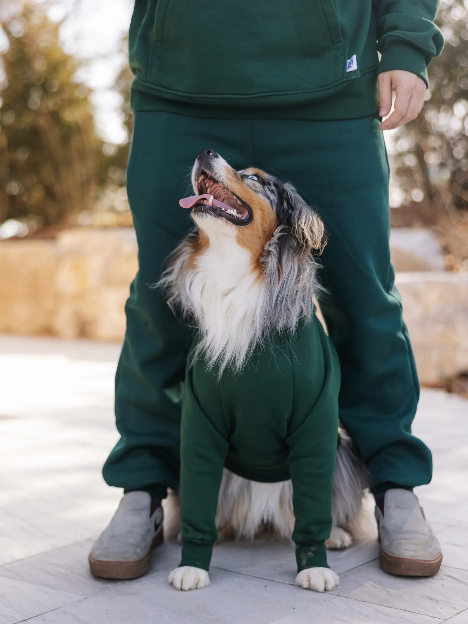 Walkies Hoodie