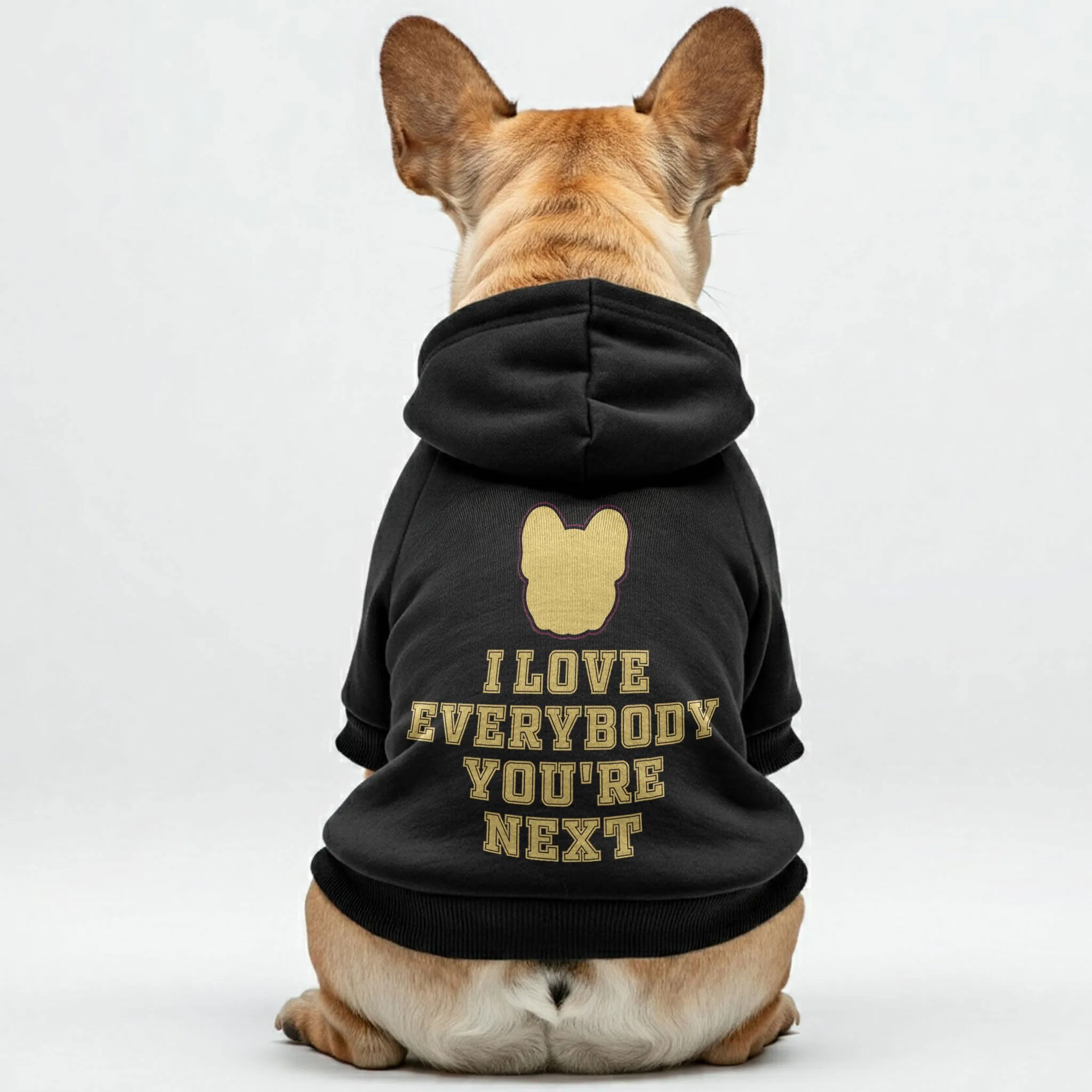 Youre next - Personalized French Bulldog Hoodies with Funny Quotes – Stylish, Cozy, and Premium 100% Cotton